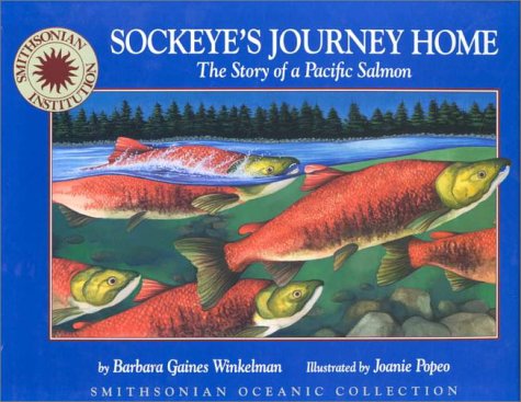 Imagen de archivo de Sockeye's Journey Home: The Story of a Pacific Salmon (Smithsonian Oceanic Collection) a la venta por SecondSale