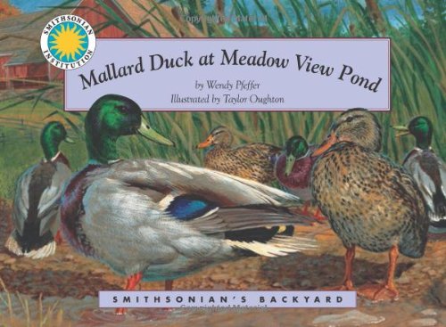 Imagen de archivo de Mallard Duck at Meadow View Po a la venta por SecondSale