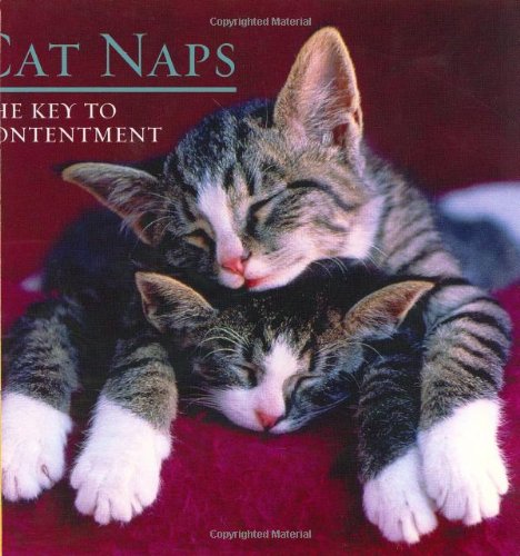 9781569065198: Cat Naps: The Key to Contentment (Gift)