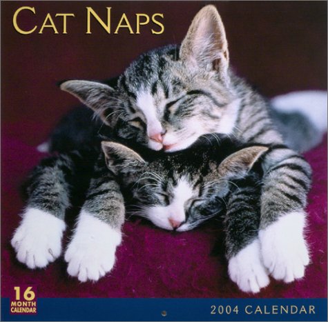 Cat Naps 2004 Calendar (9781569066607) by Ronnie Sellers Productions