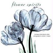 9781569069738: FLOWER SPIRITS; The Beauty That Blooms Within