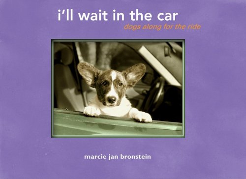 9781569069936: I'll Wait in the Car: Dogs Along for the Ride
