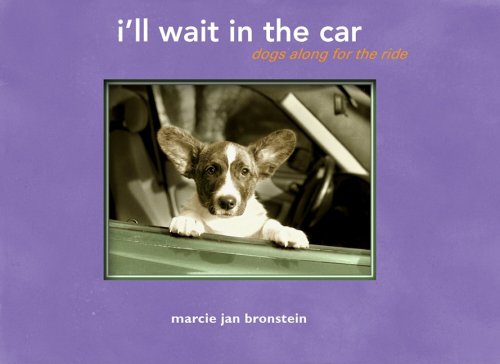 I'll Wait in the Car - Dogs Along for the Ride.