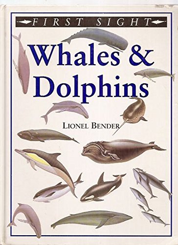 Stock image for Whales and dolphins (First sight) for sale by Better World Books