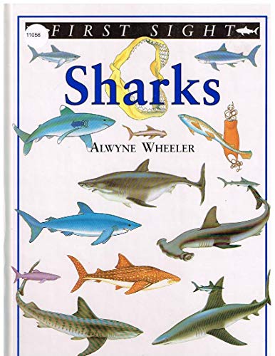 Stock image for Sharks (First sight) for sale by Wonder Book