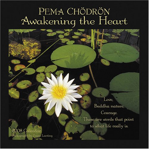 Pema Chodron: Awakening the Heart 2008 Calendar (9781569379479) by Pema Chodron