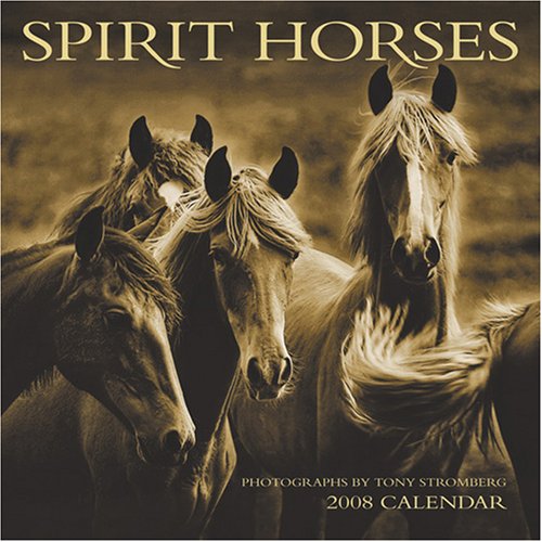 Spirit Horses 2008 Calendar (9781569379547) by Tony Stromberg