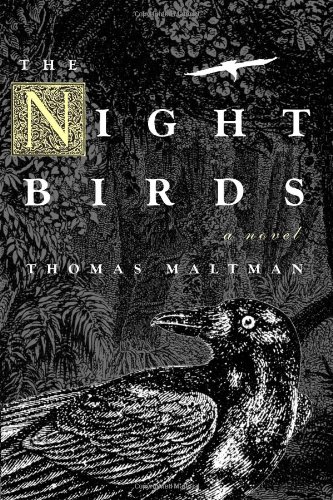 Beispielbild fr Night Birds zum Verkauf von More Than Words