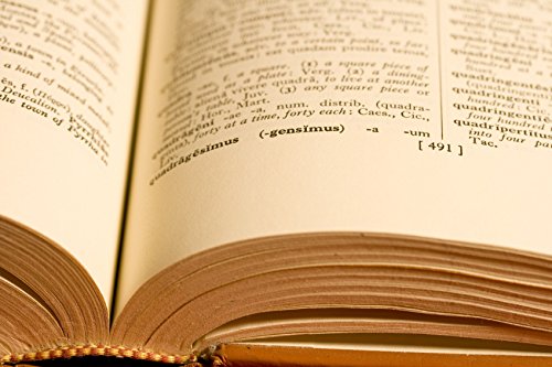 9781569540756: Tentative dictionary of medieval Spanish (Spanish series)