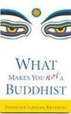 Beispielbild fr What Makes You Not a Buddhist zum Verkauf von medimops