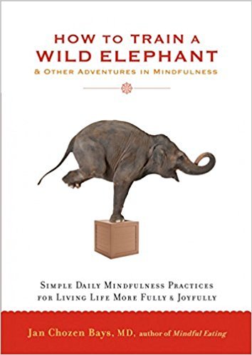 9781569570432: How to Train a Wild Elephant [Paperback]