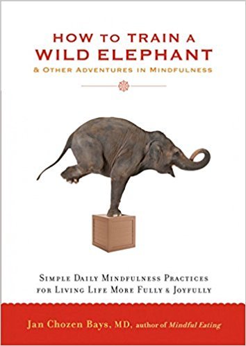 9781569570432: How to Train a Wild Elephant [Paperback] [Dec 08, 2016] Bays, Jan Chozen