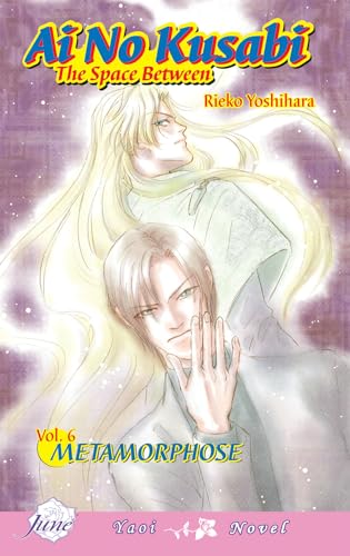 Stock image for Ai No Kusabi the Space Between 6: Metamorphose (AI NO KUSABI SPACE BETWEEN NOVEL) for sale by Books Unplugged