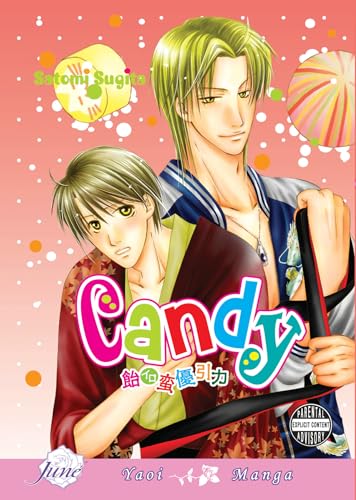 9781569705636: Candy (Yaoi)