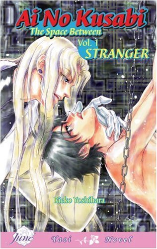 Beispielbild fr Ai No Kusabi The Space Between Volume 1: Stranger (Yaoi Novel) (AI NO KUSABI SPACE BETWEEN NOVEL) zum Verkauf von KuleliBooks