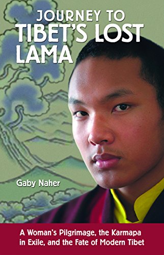 Imagen de archivo de Journey to Tibet's Lost Lama: A Woman's Pilgrimage, the Karmapa in Exile, and the Fate of Modern Tibet a la venta por Ergodebooks