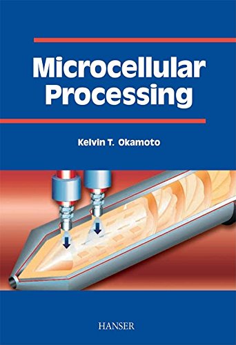 9781569903445: Microcellular Processing