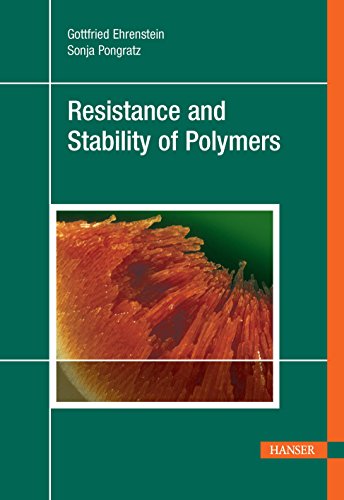 Stock image for Resistance and Stability of Polymers for sale by Lucky's Textbooks