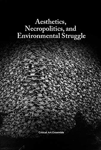 Stock image for Aesthetics, Necropolitics and Environmental Struggle for sale by Revaluation Books