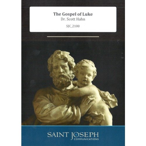 Stock image for The Gospel of Luke: Did Not Our Hearts Burn Within Us for sale by SecondSale
