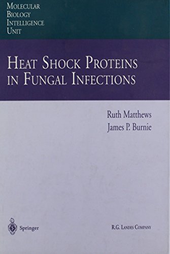 Imagen de archivo de Heat Shock Proteins in Fungal Infections (Molecular Biology Intelligence Unit) a la venta por Ergodebooks