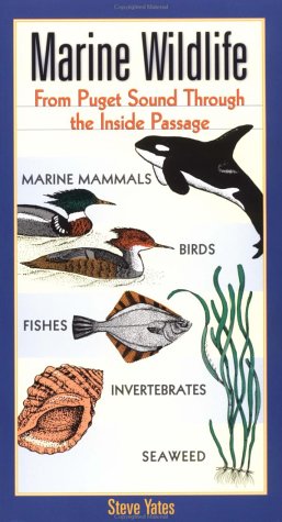 Stock image for Marine Wildlife: From Puget Sound Through the Inside Passage for sale by ThriftBooks-Dallas