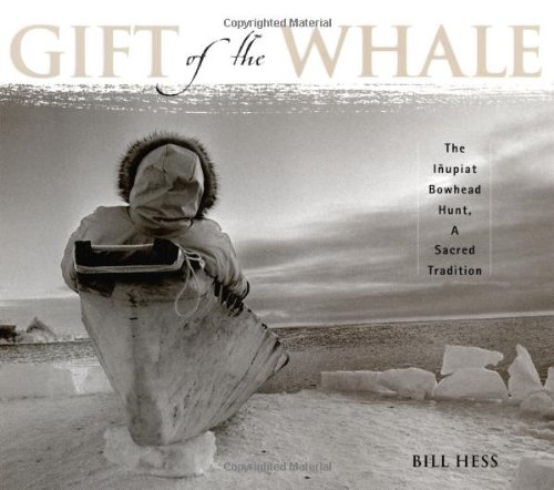 Stock image for Gift of the Whale: The Inupiat Bowhead Hunt, A Sacred Tradition for sale by Irish Booksellers