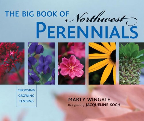 Stock image for The Big Book of Northwest Perennials: Choosing - Growing - Tending for sale by Books of the Smoky Mountains