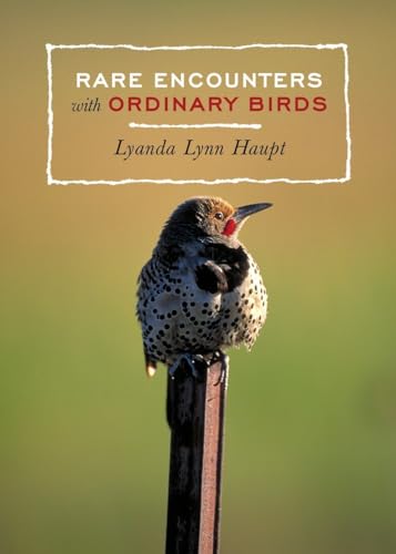 Beispielbild fr Rare Encounters with Ordinary Birds zum Verkauf von Campbell Bookstore