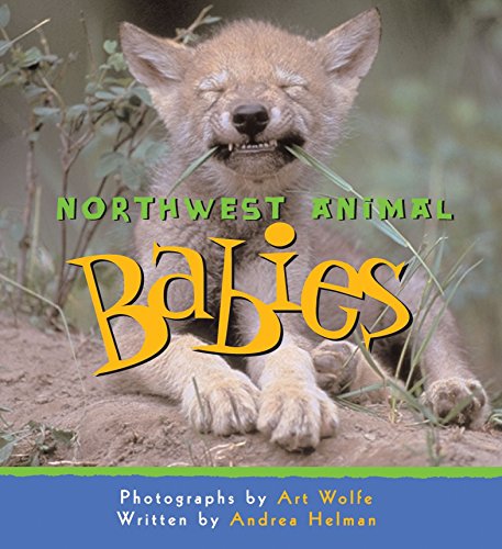 9781570614620: Northwest Animal Babies