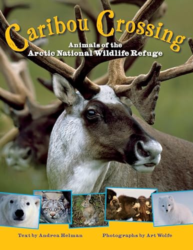 Stock image for Caribou Crossing: Animals of the Arctic National Wildlife Refuge for sale by Ergodebooks