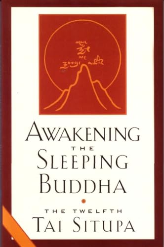 Beispielbild fr Awakening the Sleeping Buddha zum Verkauf von Better World Books