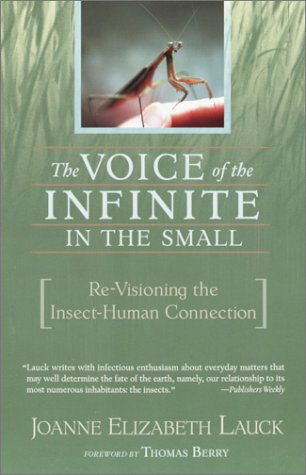 The Voice of the Infinite in the Small: Re-Visioning the Insect-Human Connection