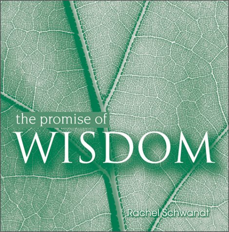 Stock image for The Promise of Wisdom - Advanced Reading Copy for sale by gigabooks