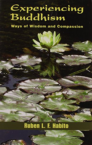 Stock image for Experiencing Buddhism: Ways Of Wisdom And Compassion (Faith Meets Faith Series) for sale by HPB-Movies