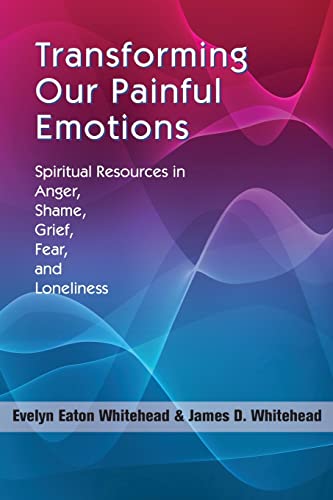 Imagen de archivo de Transforming Our Painful Emotions: Spiritual Resources in Anger, Shame, Grief, Fear and Loneliness a la venta por Patrico Books