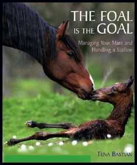 Stock image for The Foal Is the Goal Managing Your Mare and Handling a Stallion for sale by Half Price Books Inc.