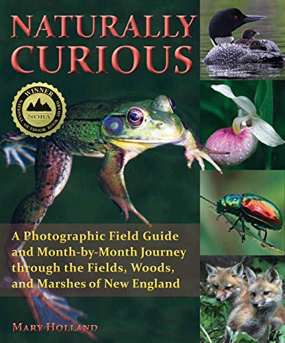 Stock image for Naturally Curious: A Photographic Field Guide and Month-by-Month Journey Through the Fields, Woods, and Marshes of New England for sale by Books Unplugged
