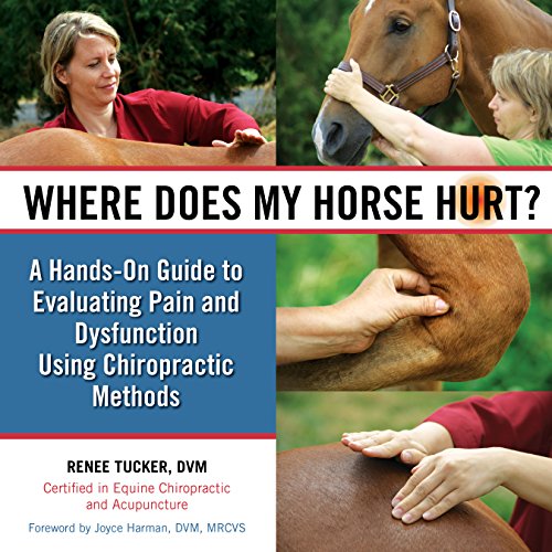 Beispielbild fr Where Does My Horse Hurt?: A Hands-On Guide to Evaluating Pain and Dysfunction Using Chiropractic Methods zum Verkauf von HPB-Diamond