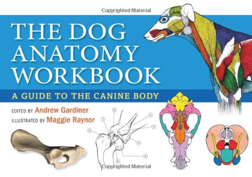 9781570766961: The Dog Anatomy Workbook: A Guide to the Canine Body