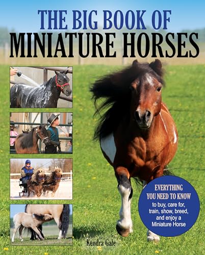 Stock image for The Big Book of Miniature Horses: Everything You Need to Know to Buy, Care for, Train, Show, Breed, and Enjoy a Miniature Horse of Your Own for sale by GoodwillNI