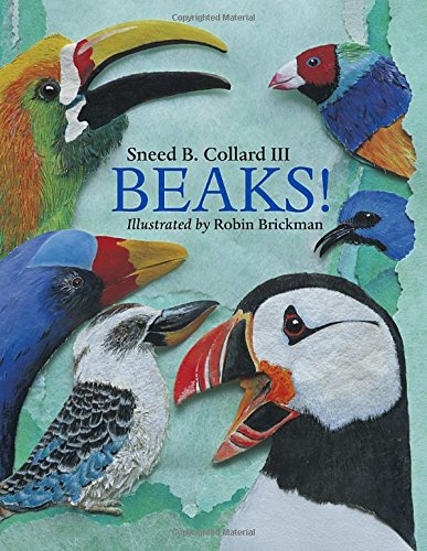 Stock image for Beaks! for sale by Kevin T. Ransom- Bookseller