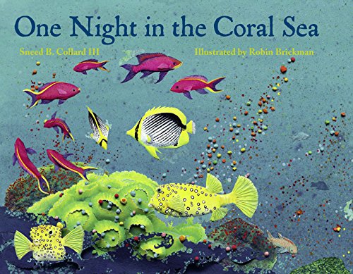 Beispielbild fr One Night in the Coral Sea zum Verkauf von Once Upon A Time Books
