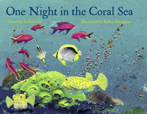 Imagen de archivo de One Night in the Coral Sea a la venta por Once Upon A Time Books