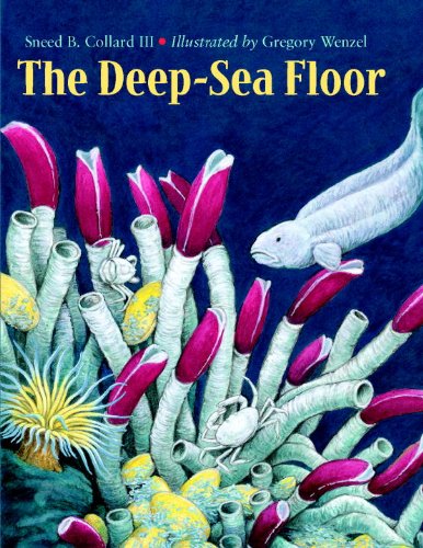 Imagen de archivo de The Deep-Sea Floor a la venta por Better World Books