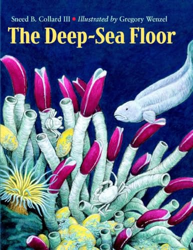Beispielbild fr The Deep-Sea Floor zum Verkauf von Better World Books
