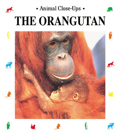 Imagen de archivo de The Orangutan : Forest Acrobat a la venta por Better World Books