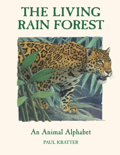 Stock image for The Living Rain Forest: An Animal Alphabet for sale by ThriftBooks-Atlanta