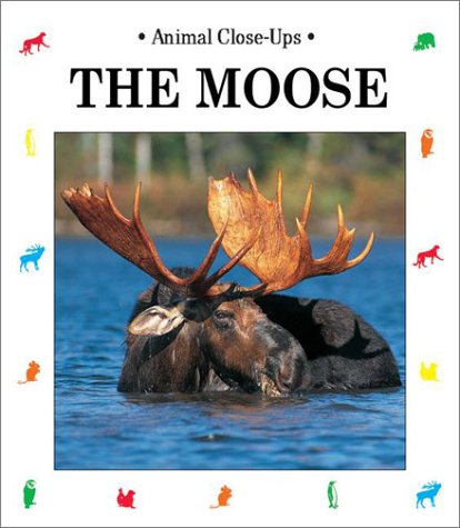 Beispielbild fr The Moose : Gentle Giant zum Verkauf von Better World Books