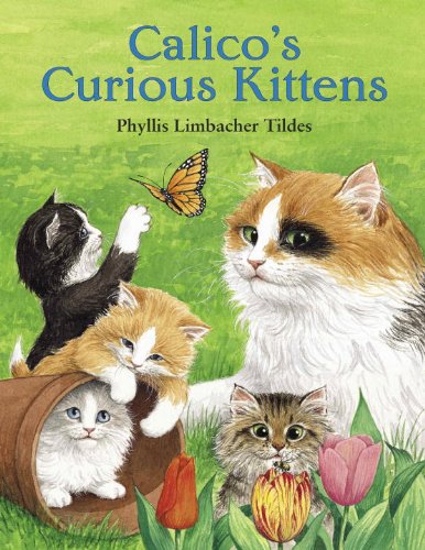 9781570915116: Calico's Curious Kittens (Charlesbridge)